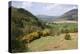 Bassenthwaite Lake from Whinlatter Pass, Lake District, Cumbria-Peter Thompson-Premier Image Canvas