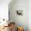 Basset Hound and Puppy-Sandro Nardini-Premier Image Canvas displayed on a wall