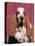 Basset Hound Breed, USA, North America-Lynn M. Stone-Premier Image Canvas