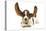 Basset Hound in Studio with Ears Up-null-Premier Image Canvas
