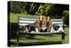 Basset Hounds Sitting on a Park Bench-Zandria Muench Beraldo-Premier Image Canvas