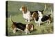 Basset Hounds-Vero Shaw-Stretched Canvas