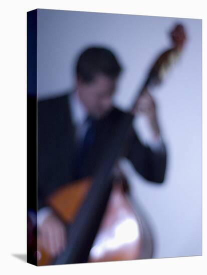 Bassist 2-John Gusky-Premier Image Canvas