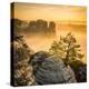 Bastei, Saxon Switzerland National Park, Saxony, Germany-Jon Arnold-Premier Image Canvas