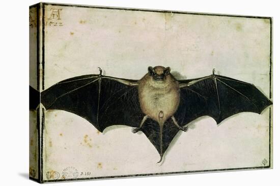 Bat, 1522-Albrecht Dürer-Premier Image Canvas