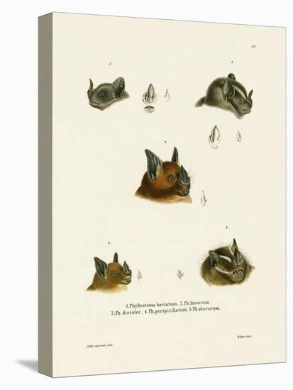 Bat Heads-null-Premier Image Canvas