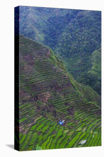 Batad Rice Terraces, Banaue, Luzon, Philippines-Michael Runkel-Premier Image Canvas