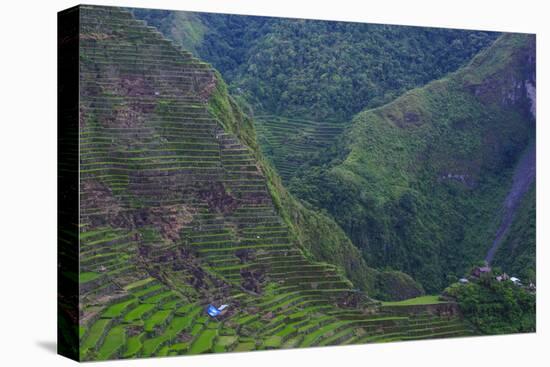 Batad Rice Terraces, Banaue, Luzon, Philippines-Michael Runkel-Premier Image Canvas