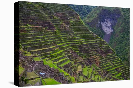 Batad Rice Terraces, Banaue, Luzon, Philippines-Michael Runkel-Premier Image Canvas