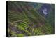 Batad Rice Terraces, Banaue, Luzon, Philippines-Michael Runkel-Premier Image Canvas