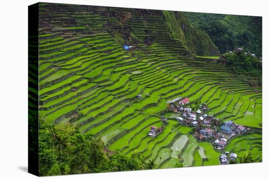 Batad Rice Terraces, Part of the UNESCO World Heritage Site of Banaue, Luzon, Philippines-Michael Runkel-Premier Image Canvas