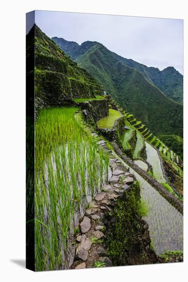 Batad Rice Terraces, World Heritage Site, Banaue, Luzon, Philippines-Michael Runkel-Premier Image Canvas