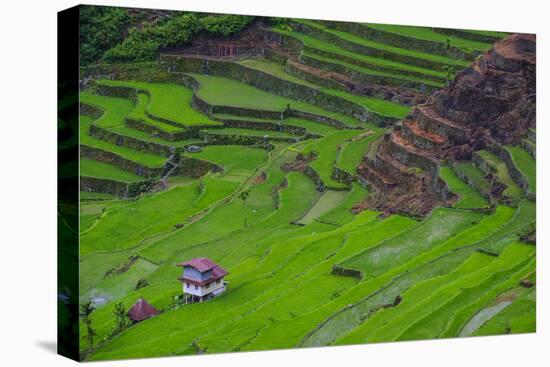 Batad Rice Terraces, World Heritage Site, Banaue, Luzon, Philippines-Michael Runkel-Premier Image Canvas