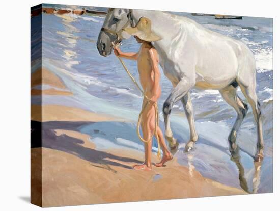 Bathing of a Horse-Joaquín Sorolla y Bastida-Premier Image Canvas