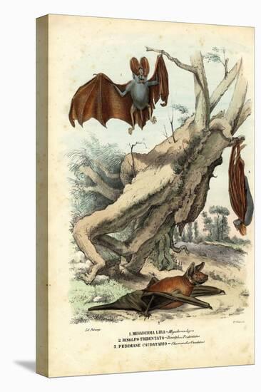 Bats, 1863-79-Raimundo Petraroja-Premier Image Canvas