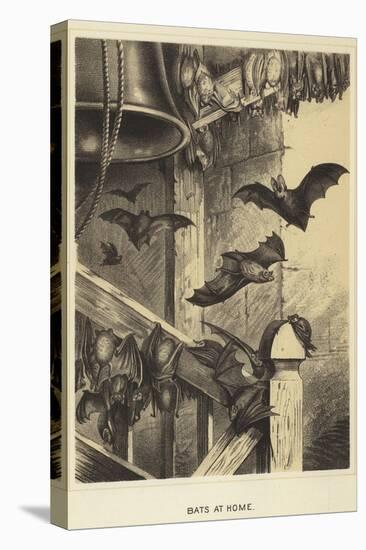 Bats at Home-null-Premier Image Canvas