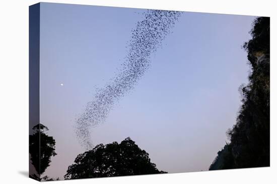 Bats Cave, Battambang, Battambang Province, Cambodia, Indochina, Southeast Asia, Asia-Nathalie Cuvelier-Premier Image Canvas