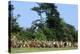 Battle of Hastings Re-Enactment, Saxon and Norman Warriors, Battle Abbey, Sussex-null-Premier Image Canvas