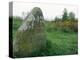 Battle Site, Culloden Moor, Highland Region, Scotland, United Kingdom-Adam Woolfitt-Premier Image Canvas