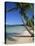 Bavaro Beach, Dominican Republic, West Indies, Caribbean, Central America-Lightfoot Jeremy-Premier Image Canvas