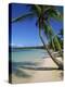 Bavaro Beach, Dominican Republic, West Indies, Caribbean, Central America-Lightfoot Jeremy-Premier Image Canvas