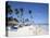 Bavaro Beach, Punta Cana, Dominican Republic, West Indies, Caribbean, Central America-Frank Fell-Premier Image Canvas