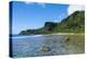 Bay and Turquoise Water in Tau Island, Manu'A, American Samoa, South Pacific-Michael Runkel-Premier Image Canvas