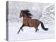 Bay Andalusian Stallion Running in the Snow, Berthoud, Colorado, USA-Carol Walker-Premier Image Canvas