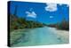Bay De Oro, Ile Des Pins, New Caledonia, South Pacific-Michael Runkel-Premier Image Canvas