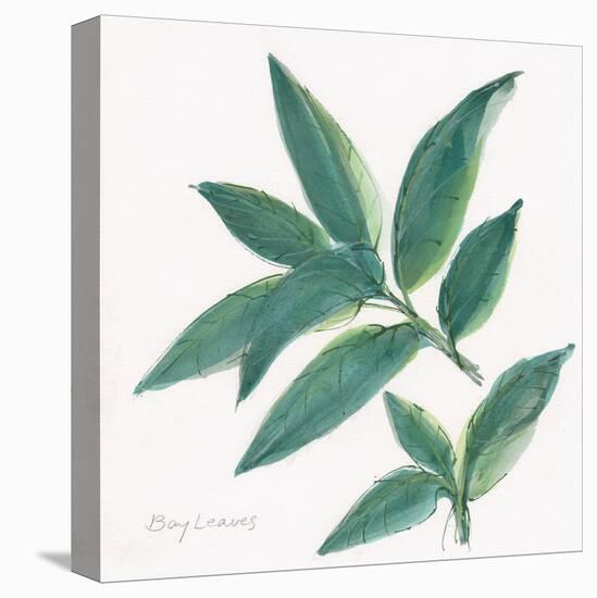 Bay Leaf-Chris Paschke-Stretched Canvas