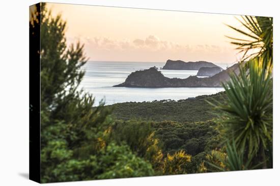 Bay of Islands Coastline at Sunrise, Seen from Russell, Northland Region, North Island, New Zealand-Matthew Williams-Ellis-Premier Image Canvas