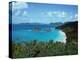 Bay, St. John, US Virgin Islands-Barry Winiker-Premier Image Canvas