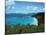 Bay, St. John, US Virgin Islands-Barry Winiker-Premier Image Canvas