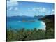 Bay, St. John, US Virgin Islands-Barry Winiker-Premier Image Canvas