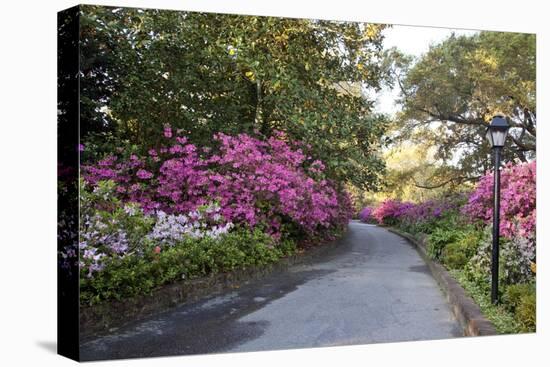 Bayou La Batre, Alabama, Is A Fishing Village-Carol Highsmith-Stretched Canvas