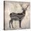 Be a Deer I-Ashley Sta Teresa-Stretched Canvas
