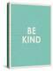 Be Kind Typography-null-Stretched Canvas