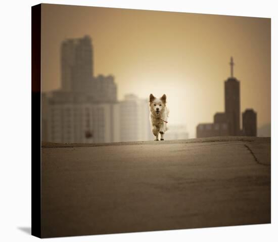 Be With You-Biduri Chang-Hwan Park-Stretched Canvas