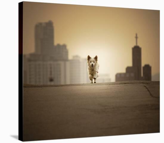 Be With You-Biduri Chang-Hwan Park-Stretched Canvas