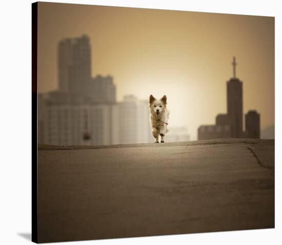 Be With You-Biduri Chang-Hwan Park-Stretched Canvas