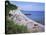 Beach and Cliffs, Beer, Devon, England, United Kingdom-Roy Rainford-Premier Image Canvas