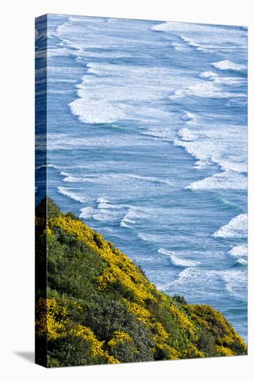 Beach and Coastline on the Pacific Ocean Near Florence, Oregon-Sergio Ballivian-Premier Image Canvas