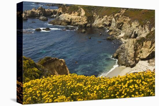 Beach and Cove, Garrapata State Park, California, USA-Michel Hersen-Premier Image Canvas