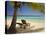 Beach and Lounger, Plantation Island Resort, Malolo Lailai Island, Mamanuca Islands, Fiji-David Wall-Premier Image Canvas