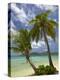 Beach and Palm Trees, Plantation Island Resort, Malolo Lailai Island, Mamanuca Islands, Fiji-David Wall-Premier Image Canvas
