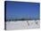 Beach and Pier, Clearwater Beach, Florida, United States of America, North America-Fraser Hall-Premier Image Canvas