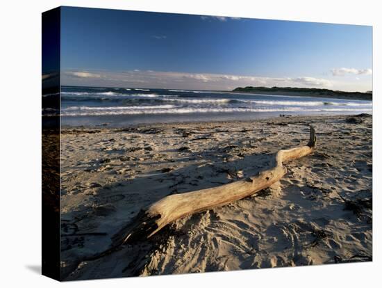 Beach and Sea at Dusk, Alnmouth, Northumberland, England, United Kingdom-Lee Frost-Premier Image Canvas