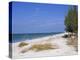 Beach, Anna Maria Island, Gulf Coast, Florida, United States of America, North America-Fraser Hall-Premier Image Canvas