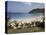 Beach at Anse Des Flamands, St. Barthelemy, Lesser Antilles, Caribbean, Central America-Ken Gillham-Premier Image Canvas