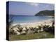 Beach at Anse Des Flamands, St. Barthelemy, Lesser Antilles, Caribbean, Central America-Ken Gillham-Premier Image Canvas